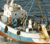 ¿Por qué la Sala IV declaró inconstitucional la pesca de arrastre desde 2013?