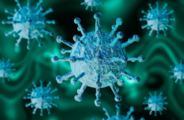  Más de 318.000 muertos por coronavirus en el mundo 
